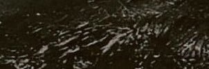 Efraim Aksatriya. banner