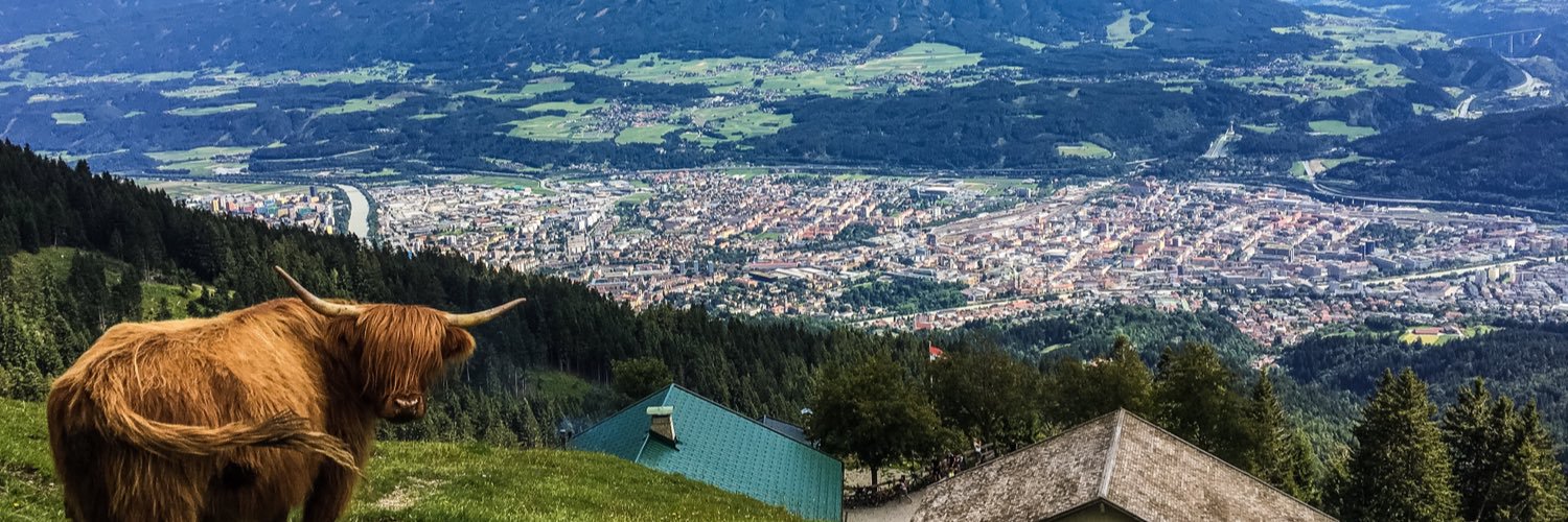 michimoser's profile banner image