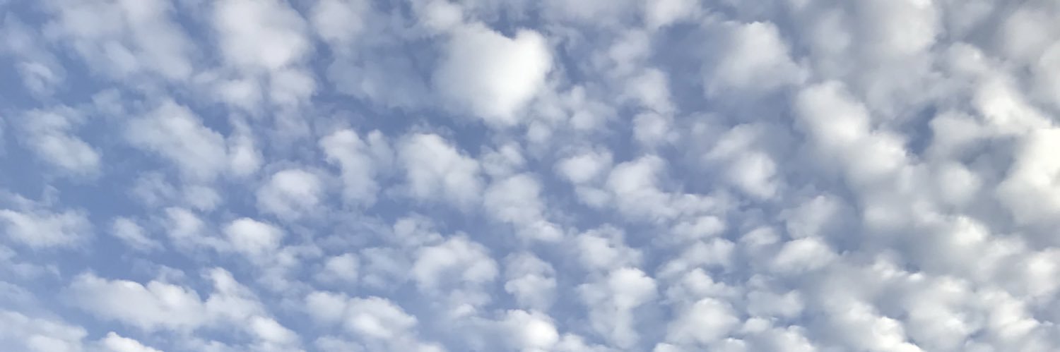 F L A R E O N banner
