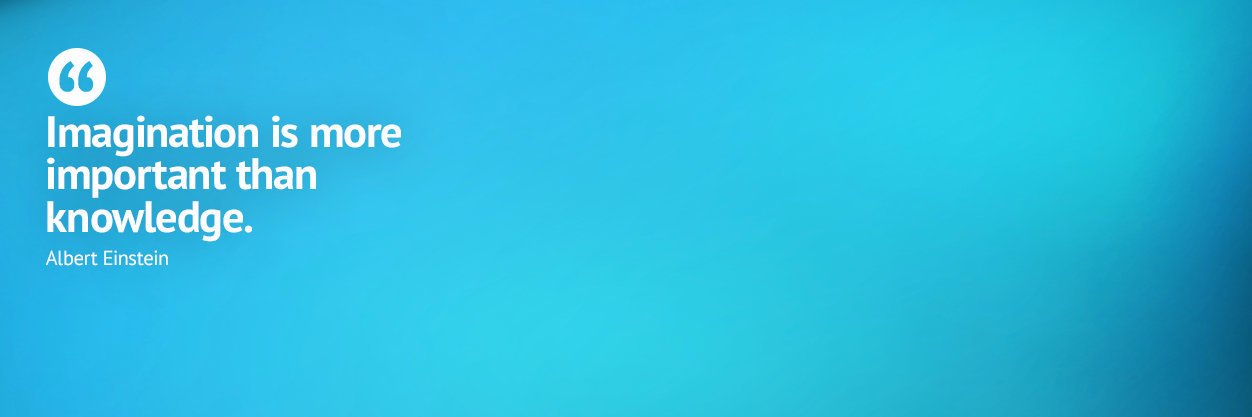 Dina banner