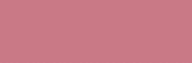 shfqa__'s profile banner image
