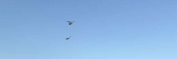 Laurvigen Profile Banner