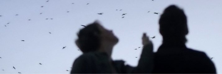 Speedwell123's profile banner image