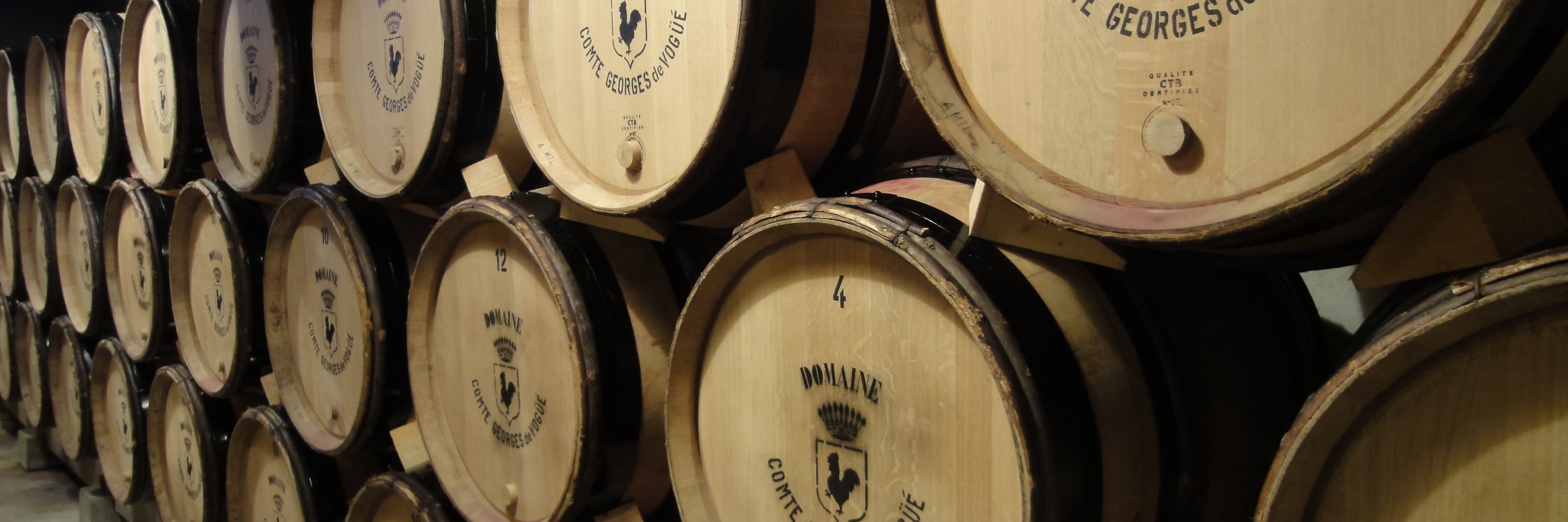 Musigny1201's profile banner image
