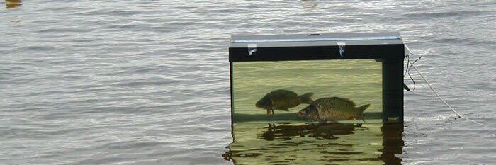 غير مهتم - 🎈 banner