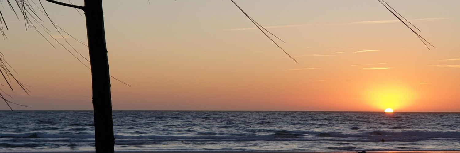 DavidBarroG's profile banner image