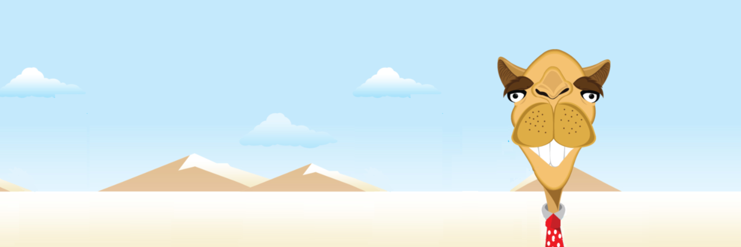 Career Camel banner