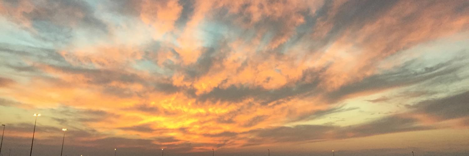 SarahBakhsh's profile banner image