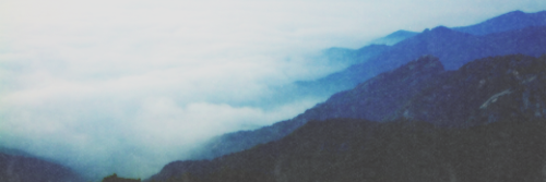 WilburCohen's profile banner image
