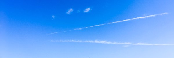 polarb Profile Banner
