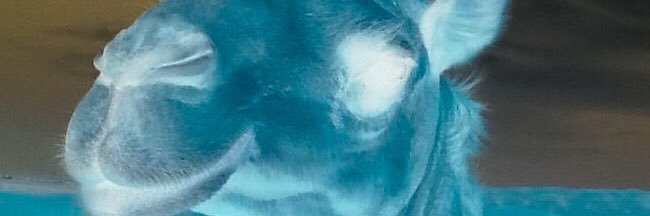 MysterMime's profile banner image