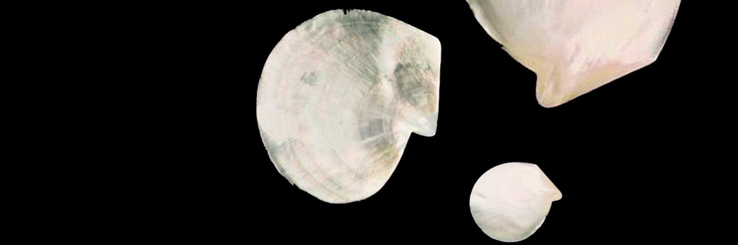 Angela Savage banner