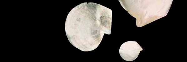 angsavage Profile Banner