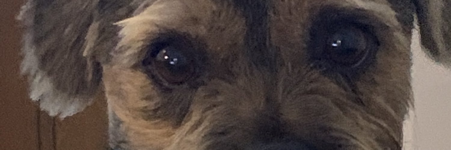 Hotch72's profile banner image
