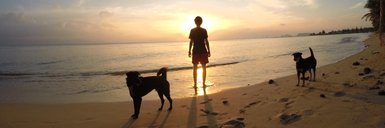 Ties van Dooren banner