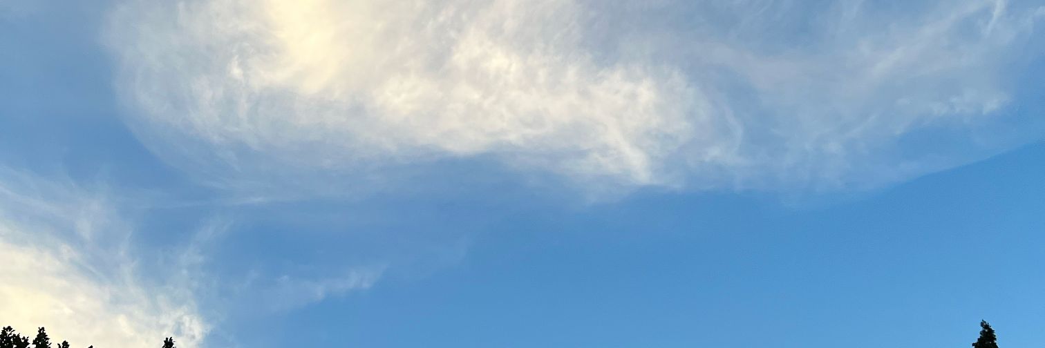 이름은 비워둘 수 없습니다 🕯 banner
