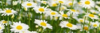 ___08320's profile banner image