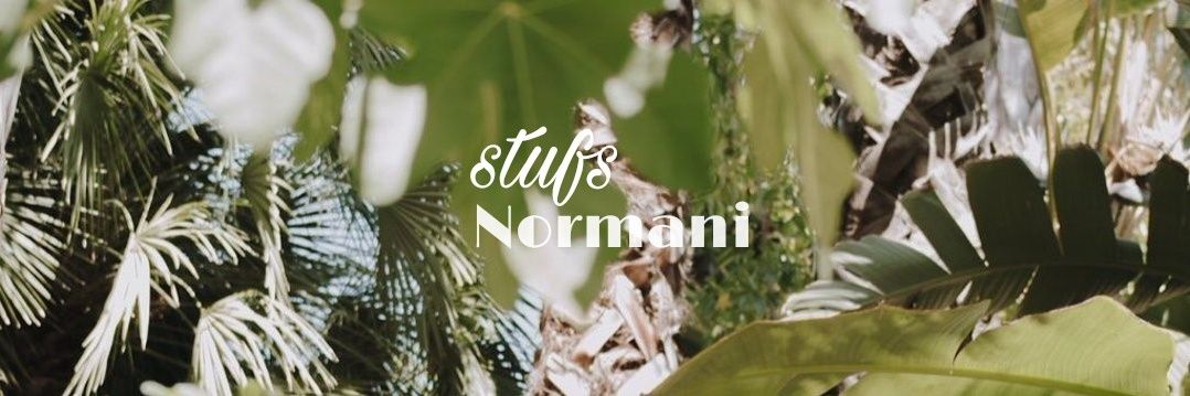 normaniarts's profile banner image