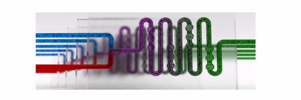 KappeLab Profile Banner