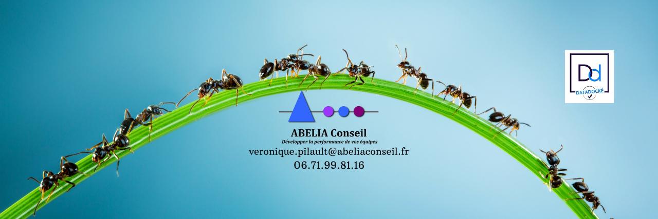 VPilault's profile banner image
