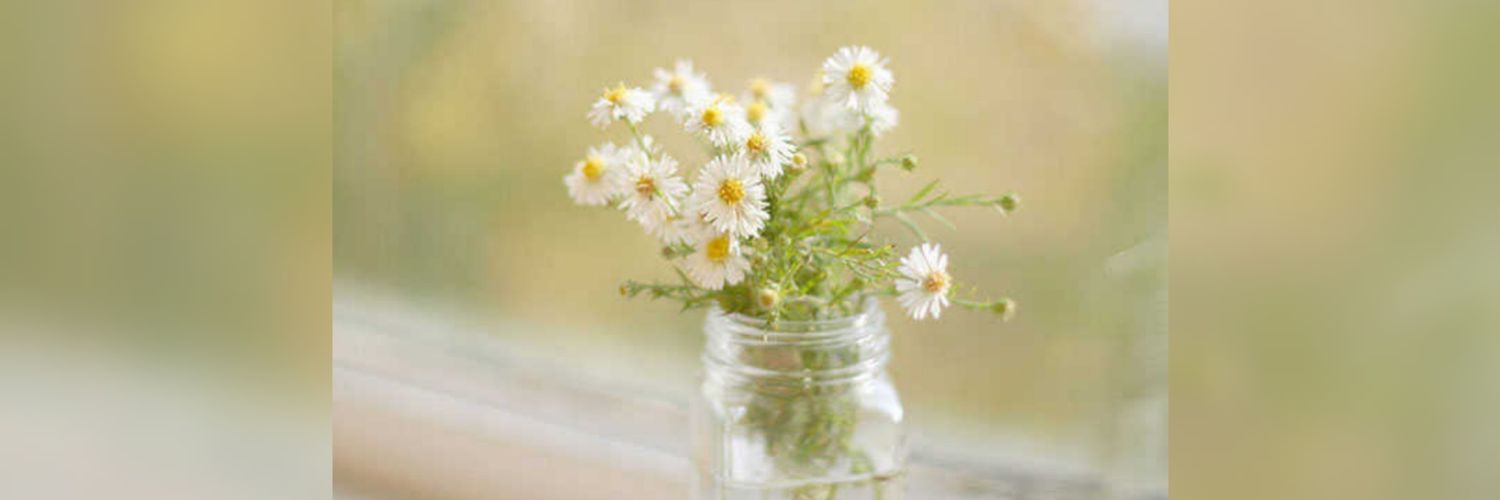 daisy990181's profile banner image