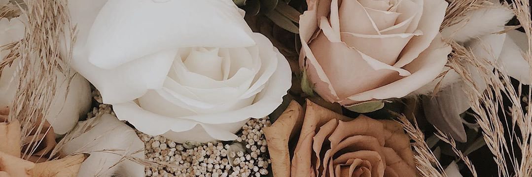 aaantonia__'s profile banner image
