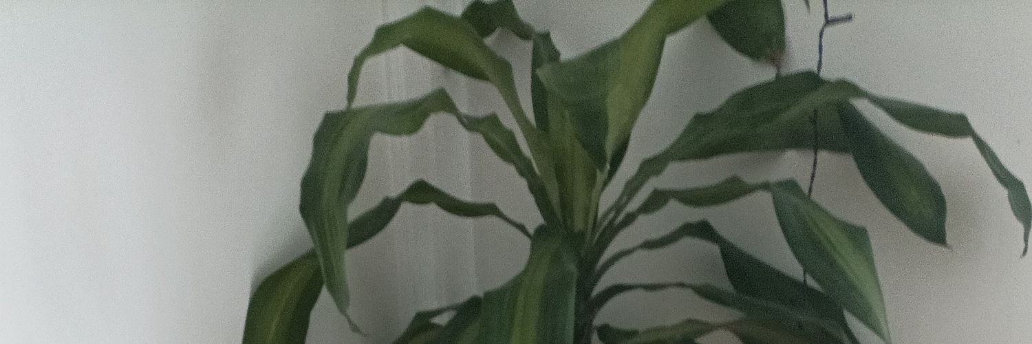 Foot lel banner