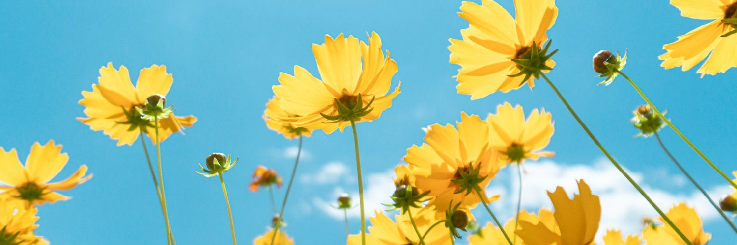 Juliana Henao G. banner