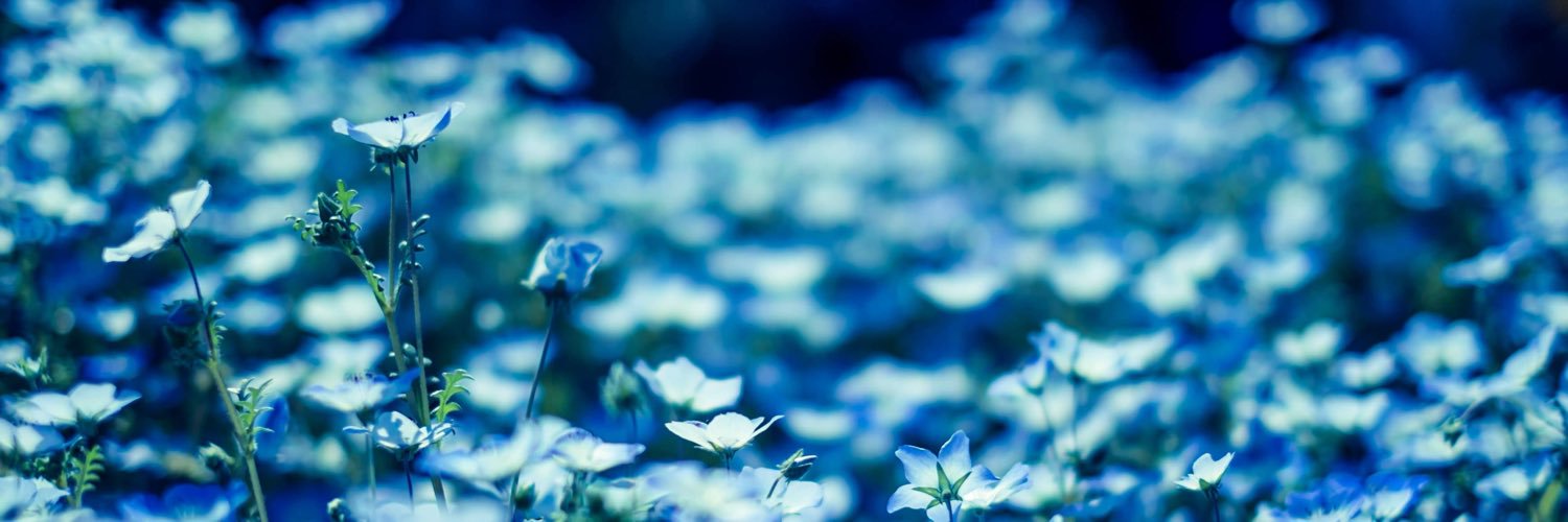 _1OSalty's profile banner image