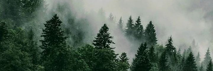DBomboro's profile banner image