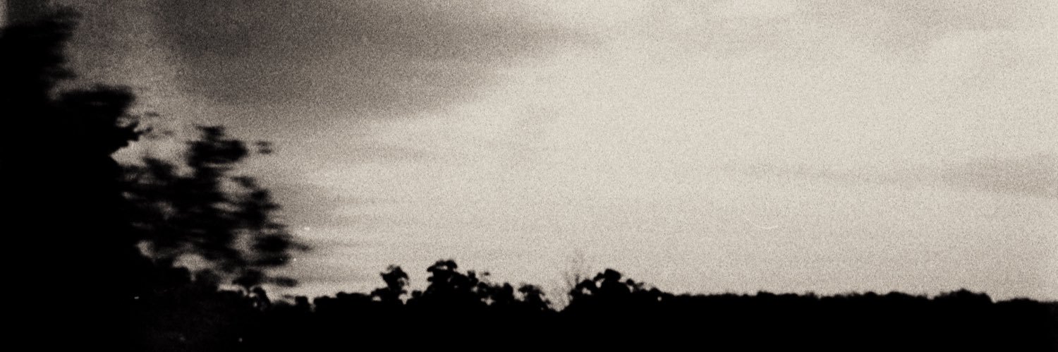 lischukf's profile banner image