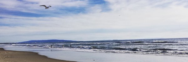 MarlenaShin Profile Banner