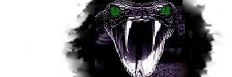 NicoCejasCarp's profile banner image