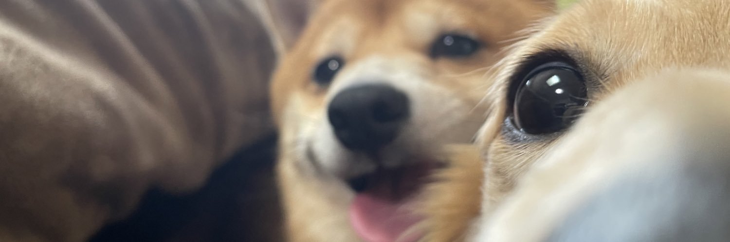 __aptter's profile banner image