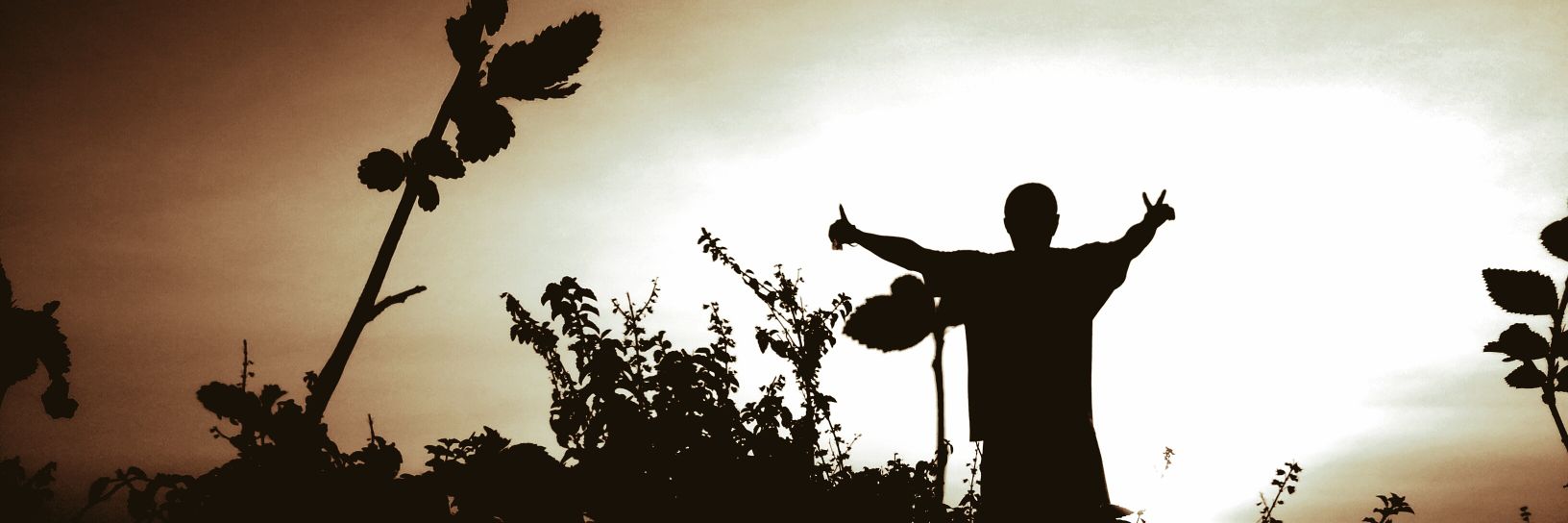 flipsea's profile banner image