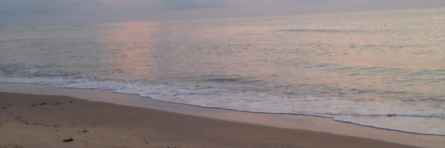 Kayminor04's profile banner image
