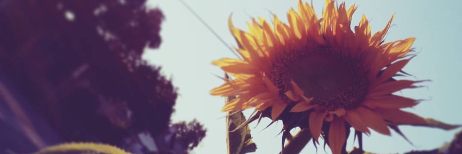 S I V A N banner