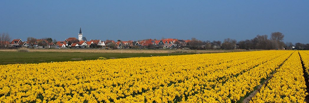 -... .. ---🅷🅹🅼egens🌱🐾🌍🔭🔬☢️👨‍🔬🧬 banner