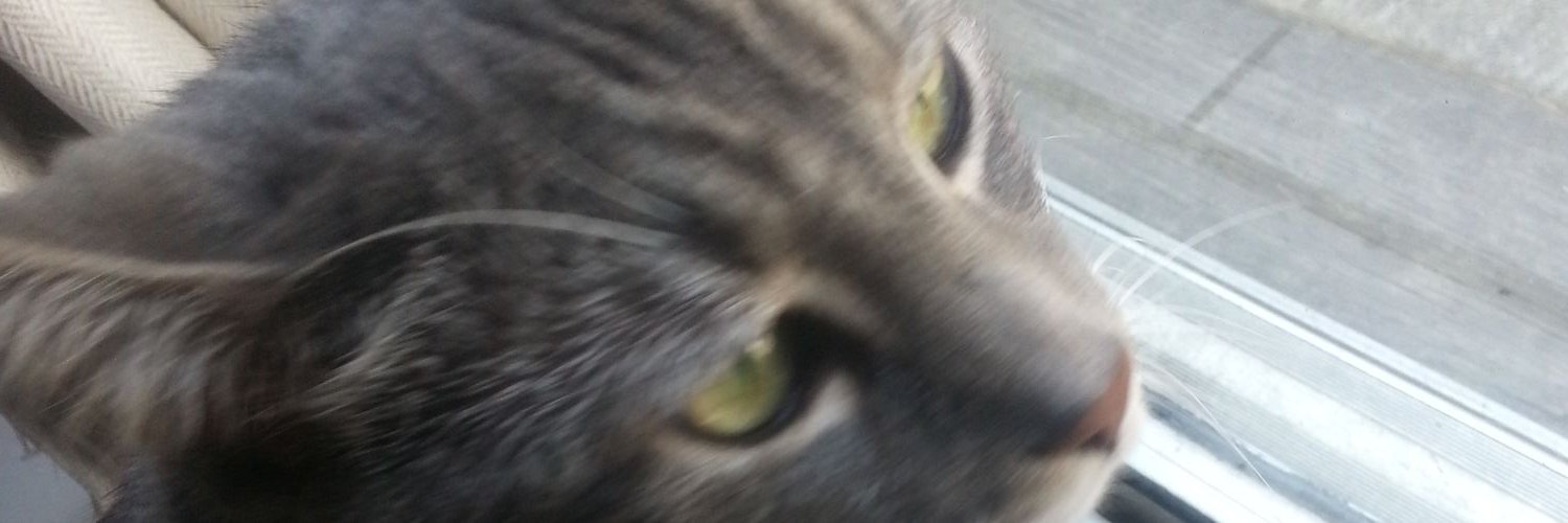 SpikeFTW's profile banner image