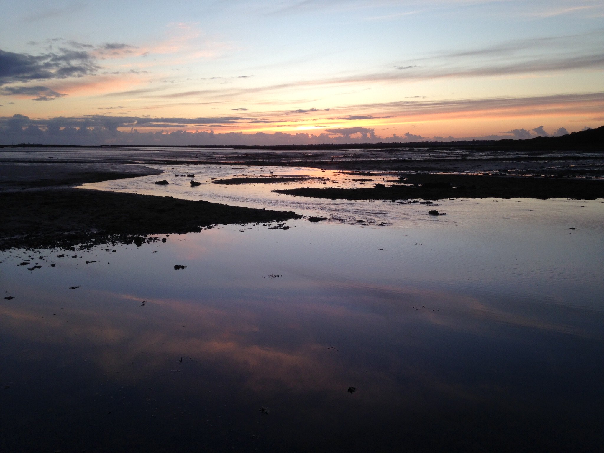 Dominic Brain banner