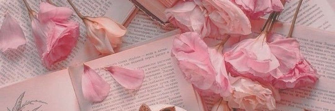 💫 ♡ ﹏ AIMI ๑ ִֶָ ❀ banner