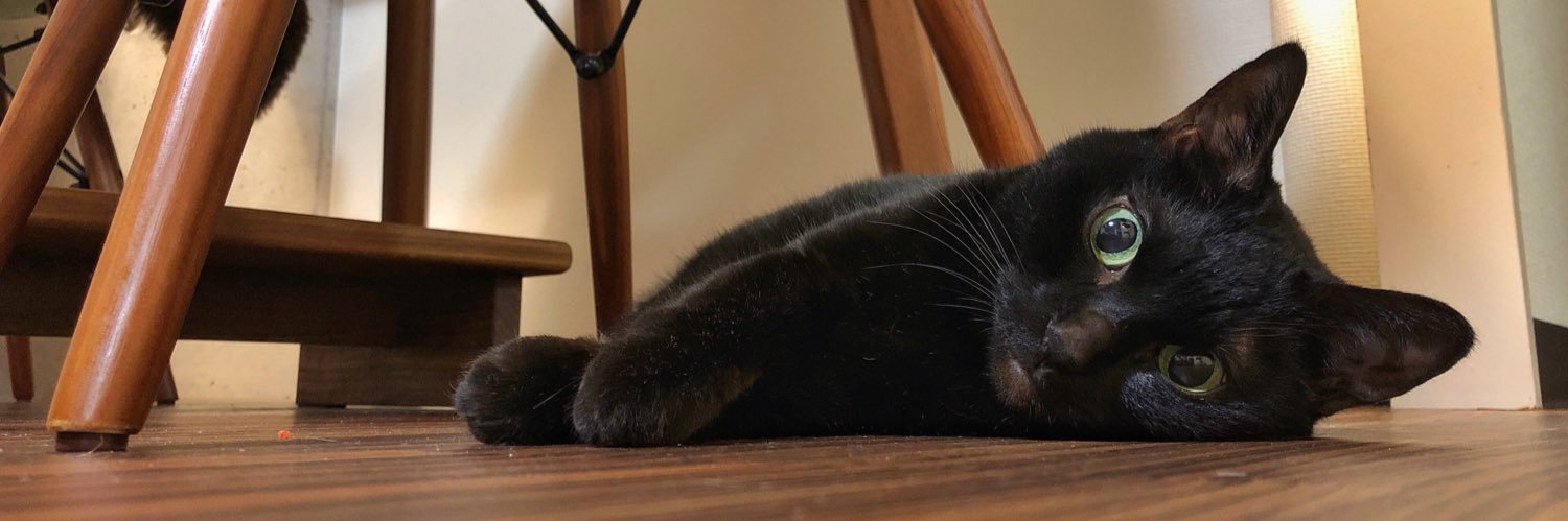 chico1024's profile banner image