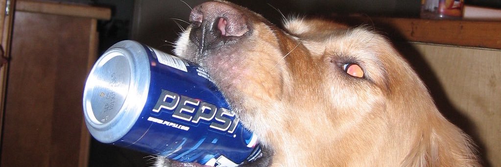 RadboyJared's profile banner image