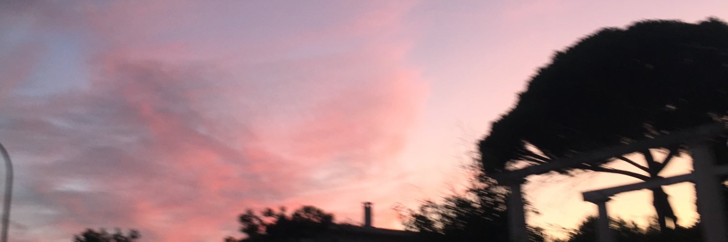 chloefournier11's profile banner image
