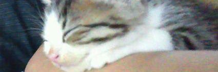 hide_ch1029's profile banner image