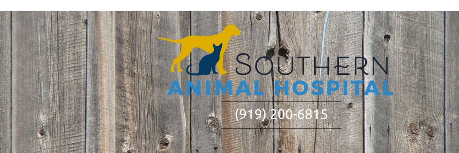 SouthernAnimals's profile banner image