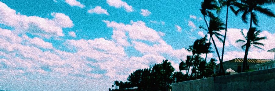 cassie sebold banner
