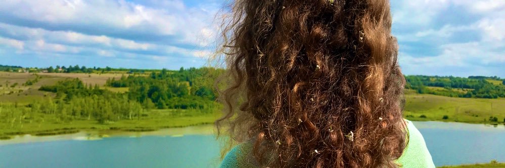 siba_beaver's profile banner image