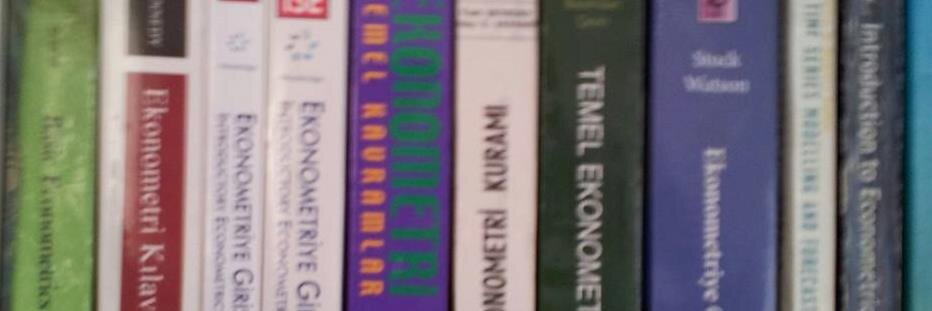 Erginbay Uğurlu banner