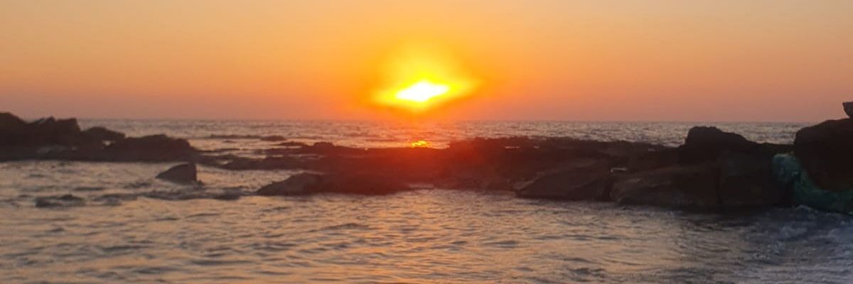 burcubnn's profile banner image